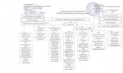 Структура и органы управления ГБПОУ АО Каргопольский педколледж